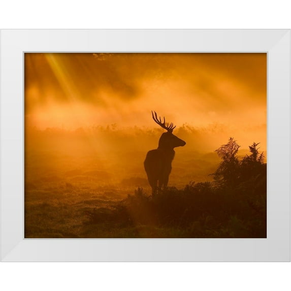 Fabrowski, Robert 32x25 White Modern Wood Framed Museum Art Print Titled - Guard Of Light
