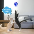 thumbnail image 6 of BESTSKY Light Up Cat Balls, Led Motion Activated Cat Ball Interactive Toys Exercise Ball for Kitten Dog, 6 of 7