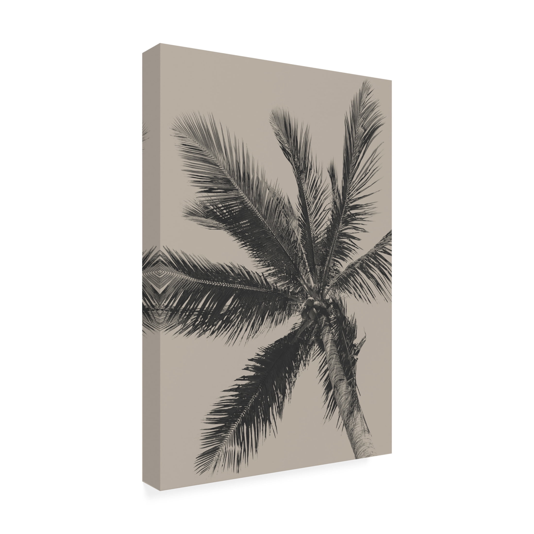 Trademark Fine Art Eda Unsoy Palm Tree Canvas Wall Art