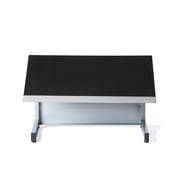 Audio Visual Direct Freestanding Tabletop Lectern, Silver & Black (14 H x 18 D x 23.2 L)