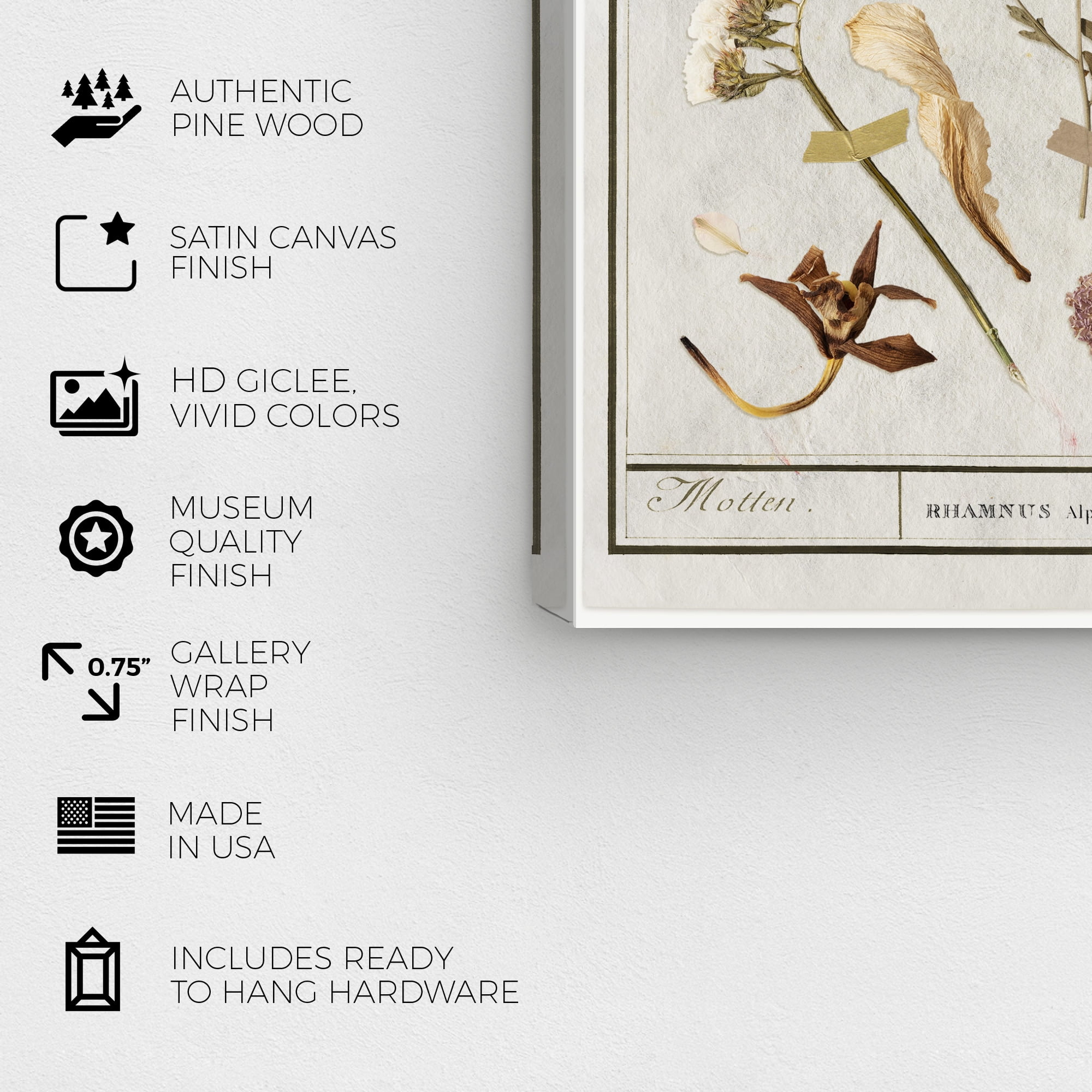 Botanical Study I Floral and Botanical Wall Art Print White 16x24