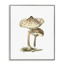 Stupell Industries Neutral Brown Mushrooms Botanical & Floral Painting Gray Framed Art Print Wall Art, 11 x 14