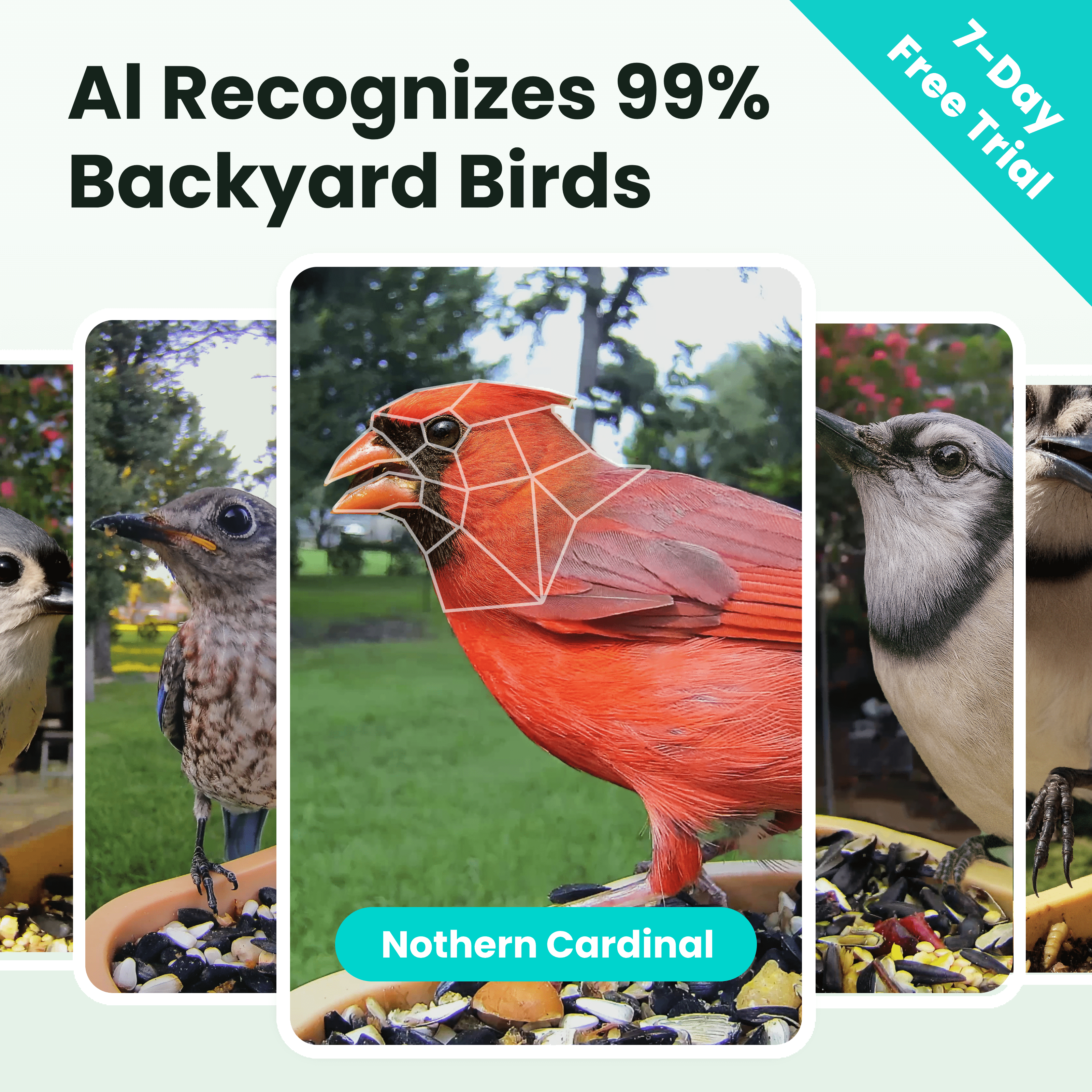 Birdfy Smart Bird Feeder with Camera, 6000+ AI Species Identification, 1080P HD Video, Instant App Alerts, Brown
