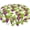 Grapes, variant on Mango Print Tablecloth Round 60 Inch Table Cloth Cover Mat Holiday Party Decoration for Dining Room Home Kitchen Picnic