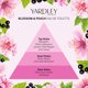 thumbnail image 4 of Yardley Blossom y Peach Eau de Toilette Spray de Yardley London Yardley London Model, 4 of 5