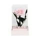 thumbnail image 2 of Rosa real preservada en caja de acrílico | Regalo de flor eterna para San Valentín | Recuerdo duradero para mujer, novia, esposa o mamá, 2 of 9