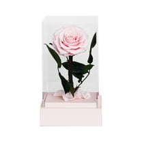 Nmdmisc Forever Preserved Rose Christmas and Valentines Day Gifts for Mom,Women Gifts Eternal Rose in Glass Gifts for Valentines Day Mothers Day Christmas Anniversary Birthday (Pink)