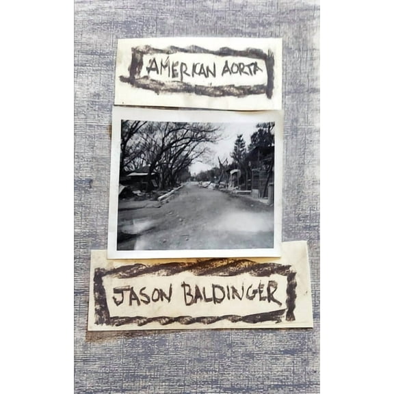 american aorta, (Paperback)