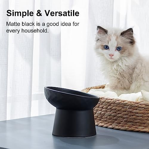 Ceramic Raised Cat Bowls, Elevated Tilted Cat Food and Water Bowls Set, Stress Free Pet Feeding Dish for Indoor Cats and Small Dogs, Anti Vomiting, Black, 2 Pack
