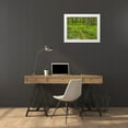 thumbnail image 3 of McLoughlin, James 32x25 White Modern Wood Framed Museum Art Print Titled - Country Road Photo V, 3 of 4
