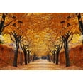 thumbnail image 2 of wall26 - Yellow leaved Trees line Autumn Lane - Landscape - Wall Mural, Removable Sticker, Home Decor - 66x96 inches, 2 of 6