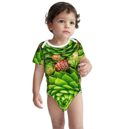

Kdxio Cactus And Succulents Pattern Unisex Baby Cotton Short Sleeve Bodysuits-6 Months