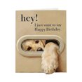 thumbnail image 1 of Interesting Dog Birthday Card: Pet Theme Birthday Greeting Card, 1 of 9