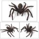 thumbnail image 4 of 2-pack realistiska spindlar, leksaksspindel djurfigurer, (smal svart spindel), 4 of 5