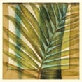 thumbnail image 3 of Jennifer Goldbergrer 20x20 Black Modern Framed Museum Art Print Titled - Seaside Palms II, 3 of 5
