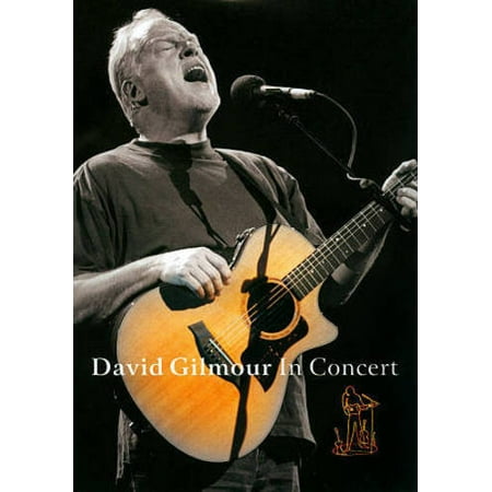 David Gilmour: In Concert (Best Of David Gilmour)