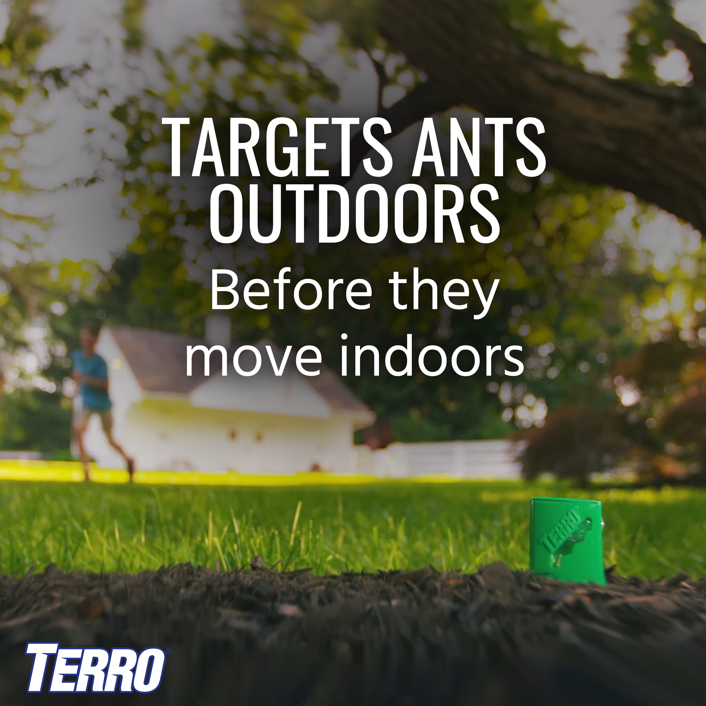 TERRO Outdoor Liquid Ant Bait Station Stakes (8-Pack) in the Pesticides  department at