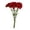 C, variant on Floral Arrangement for Home Carnation Array in Vase with Daylight- Realistic Petals and Lifelike for Elegant Interior