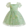 thumbnail image 1 of Yanlir Robe Princesse en Dentelle d'Été pour Filles Robe Sans Manches à Volants Broderie en Maille Robe de Fête Col Rond, Tenue Imprimée Mode Printemps Été pour Enfants (Vert, 1 An), 1 of 9