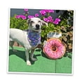 thumbnail image 4 of Juguete Interactivo para Perros Doggijuana Rosquilla Recargable con Zacate Gatera Orgánica Calmante, 4 of 10