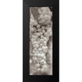thumbnail image 2 of Blaustein, Alan 11x24 Black Modern Framed Museum Art Print Titled - Grapes Pano - 15, 2 of 5