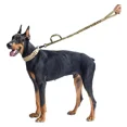 thumbnail image 2 of Correa Táctica Elástica, Con 2 Asas Entrenamiento P/perros, 2 of 8