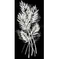 thumbnail image 2 of Vision Studio 18x32 Black Ornate Wood Framed with Double Matting Museum Art Print Titled - Palm Leaf Fresco II, 2 of 4