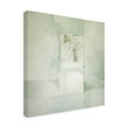thumbnail image 4 of Trademark Fine Art 'White' 14" x 14" Canvas Art (BL01250-C1414GG), 4 of 4
