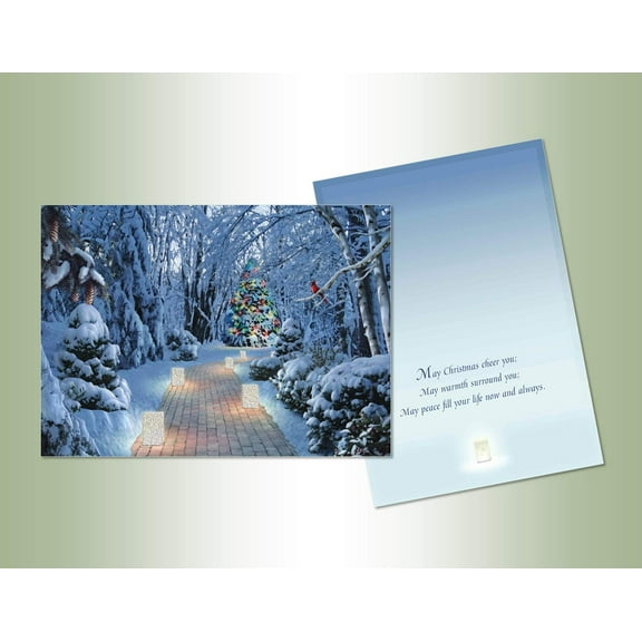 LPG Greetings Lighting the Way Box of 14 Alan Giana Christmas Cards