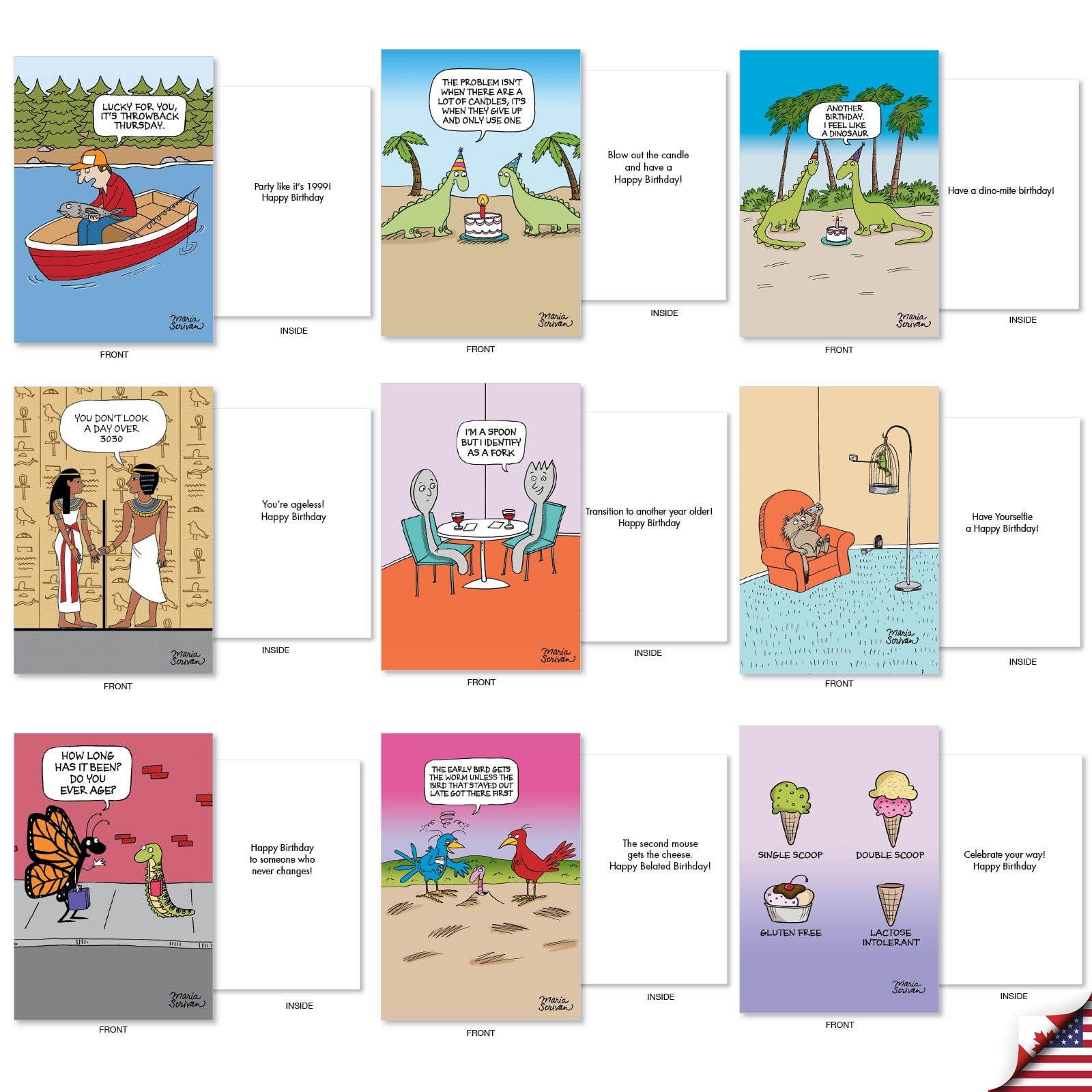 NobleWorks 36 Assorted Box Set Funny Birthday Greeting Cards w/5 x 7 Inch Envelopes (36 Designs, 1 Each) Bday Maria Scrivan's Celebrate AC7741BDG-B1x36