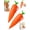 2pcs, variant on Carrot Recorder Pen Recording Pen Voice Recorder pens Audio Playback Device Cute Carrot Shaped Writing Tool Toy 20s Playback Feature for Students Teachers School Learning Gift
