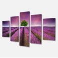 thumbnail image 2 of Lavender Field Sunset with Single Tree - Floral Canvas Art Print, 2 of 3