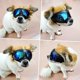 thumbnail image 3 of Gafas de sol para perros con protección para los ojos Gafas de sol anti-uv Gafas a prueba de viento para cachorros con ajuste, 3 of 5