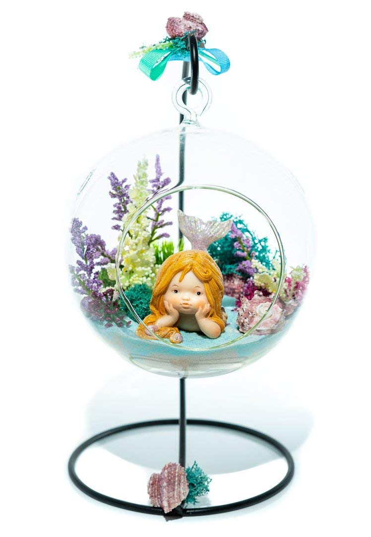 Terrarium Kit Little Mermaid Mermaid Series Complete Terrarium