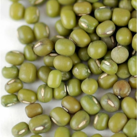 Mung Bean - Mappe Green - 20 g Packet ~445 Seeds - Non-GMO, Heirloom - Asian Garden Vegetable & Sprouts