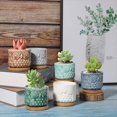 thumbnail image 2 of 6.5Cm Ceramic Succulent Pot With Bamboo Tray Owl Set Of 6, Cactus Plant Planter Cache Pot Planter Container Gift For Birthday Wedding, 2 of 7