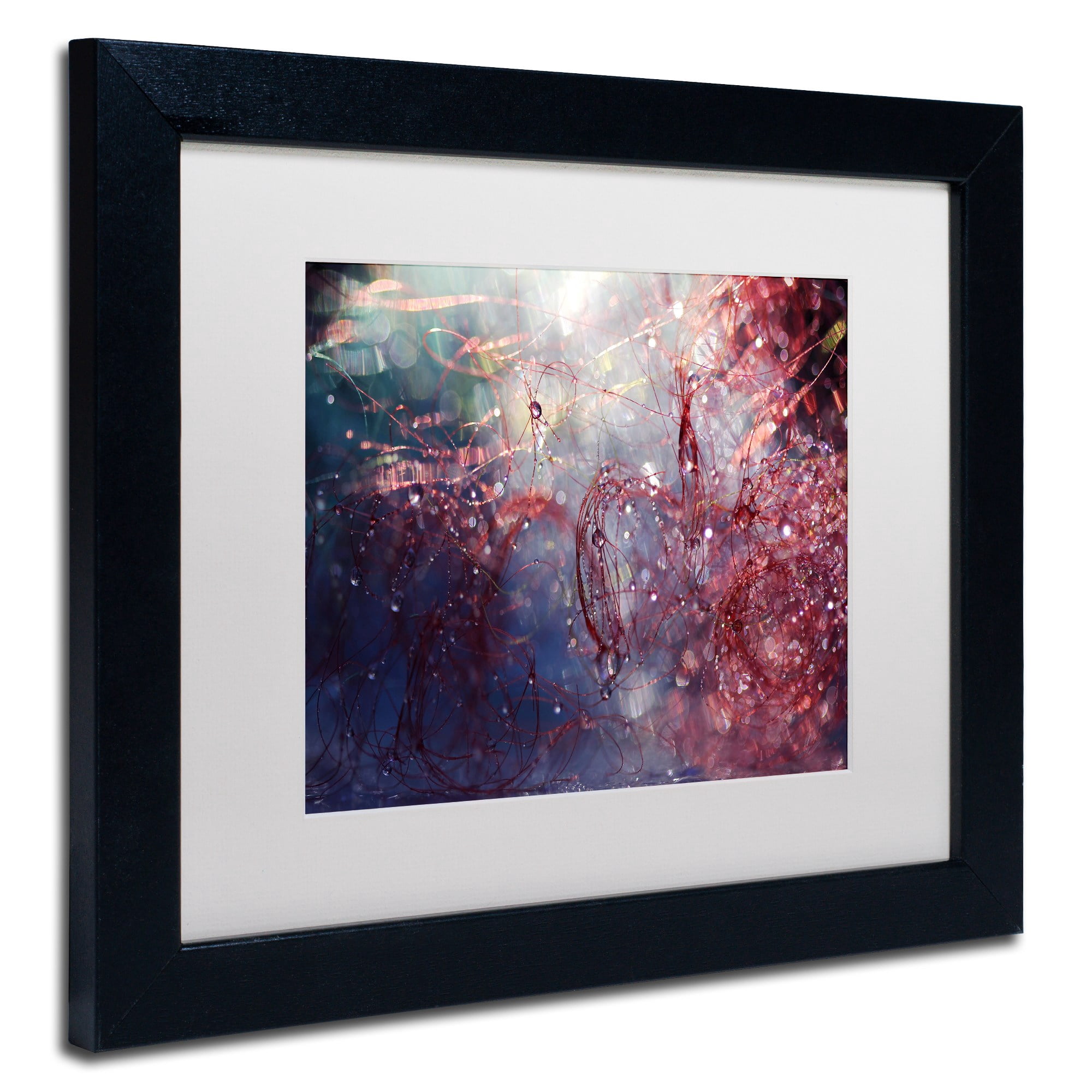 Trademark Fine Art "Adventures of Red" Canvas Art by Beata Czyzowska Young, White Matte, Black Frame