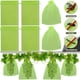 thumbnail image 2 of 10-500PCS Grapes Fruit Protection Bag Garden Mesh Bags Agriculture Orchard Pest Control Bird Mesh Vegetable Protective Net16x22cm (50pcs) He Qiyong unisex, 2 of 2