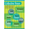 thumbnail image 2 of Barker Creek BC-1809 Collective Noun Grammar Poster, 2 of 3