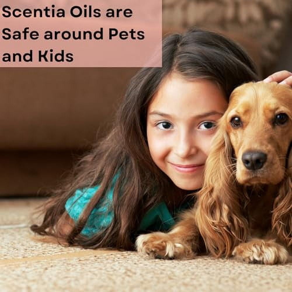 Scentia Pine Frost Essential Oil 120 ml | Christmas Scent | Crisp Winter Scent with Fir, Pine, Citrus & Vanilla Notes | Perfect for Diffusers, Candles, Soap Making & Home Fragrance | Made in USA