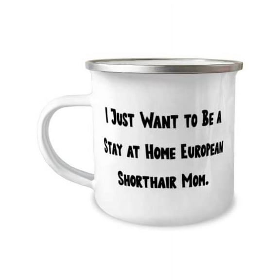 Unique Idea European Shorthair Cat Gifts, I Just Want to Be a Stay at Home European, European Shorthair Cat 12oz Camper Mug From Friends