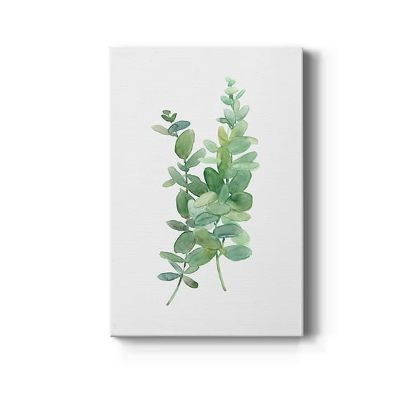 Eucalyptus I Premium Gallery Wrapped Canvas - Ready to Hang - 8 x 12