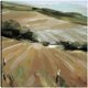 thumbnail image 1 of Pasto de verano Jr, 1 of 4