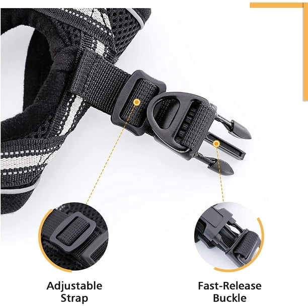 Soft Snug Essential Hot Belt, Sports Equipment, Other Sports Equipment and  Supplies on Carousell