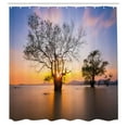 thumbnail image 3 of Ambesonne Fall Shower Curtain, Autumn Trees View Habitat, 69"Wx70"L, Blue Yellow, 3 of 5