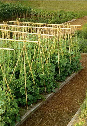 24 pack Miracle Gro Garden 4' NEW Trellis Supports Bamboo Stakes 4ft 