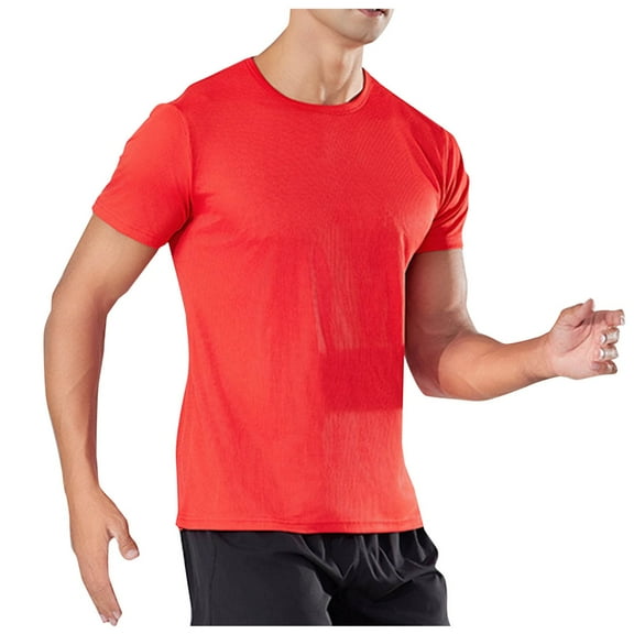 Mens Quick Dry Workout Tops, Short Sleeve Shirts for Men Summer Big and Tall Quick Dry Stretchy Crewneck Athletic T-Shirts
