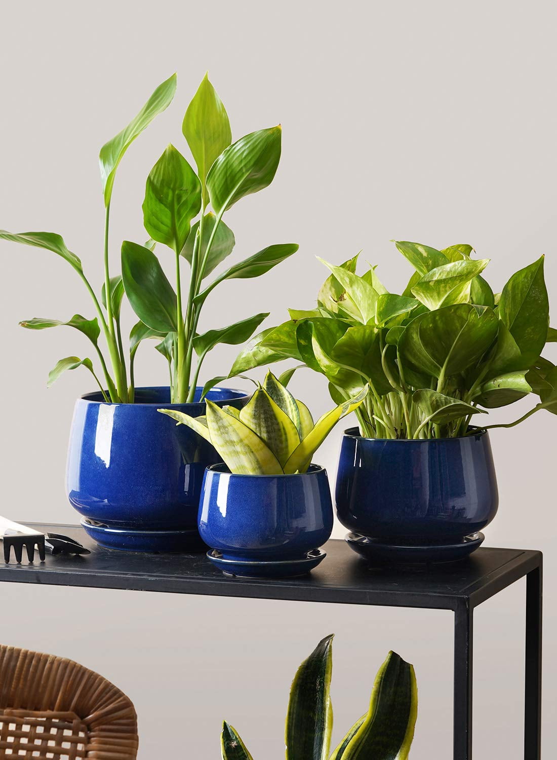 BEMAY Plant Pots, 4.1+5.1+6.5 inch Flower Pots with Drainage Hole and Saucer, Pack of 3 Ceramic Indoor Planters for Home and Office, Sapphire Blue