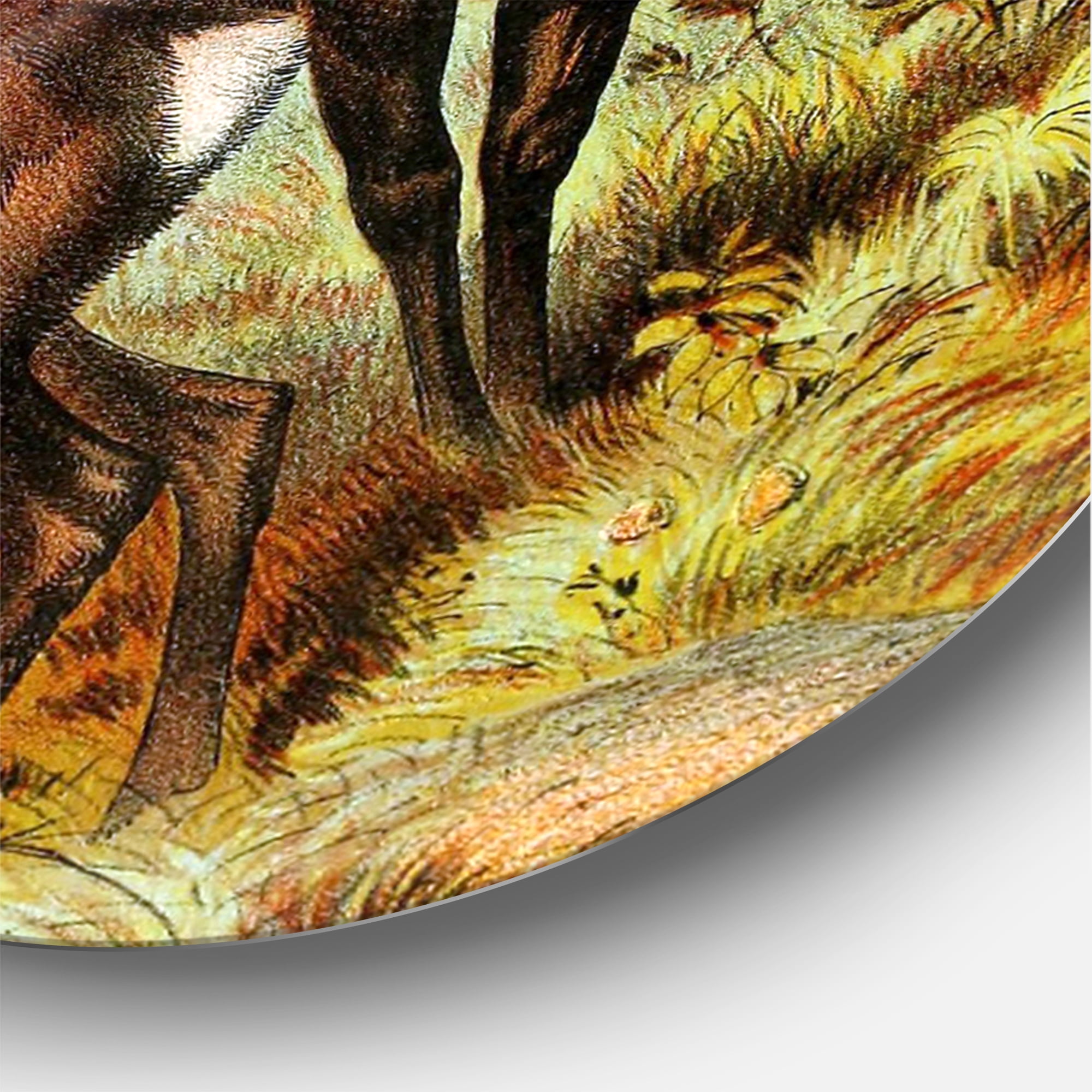 Designart 'Old-world Mammals I' Farmhouse Circle Metal Wall Art 29x29 - Disc of 29