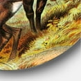thumbnail image 3 of Designart 'Old-world Mammals I' Farmhouse Circle Metal Wall Art 29x29 - Disc of 29, 3 of 5